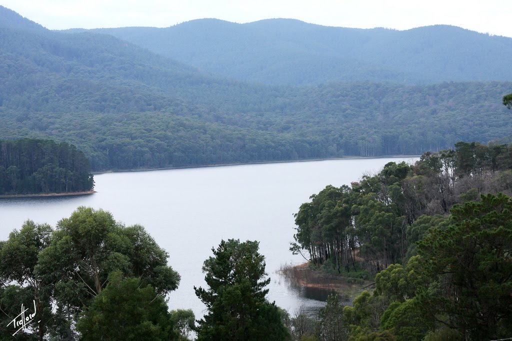 Maroondah Reservoir by TraffordPhotos