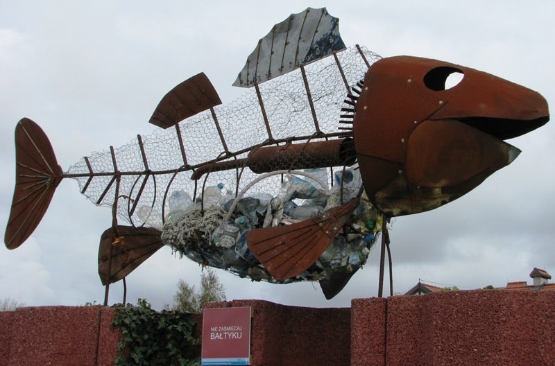 Fokarium, fish of trash by SpringM1