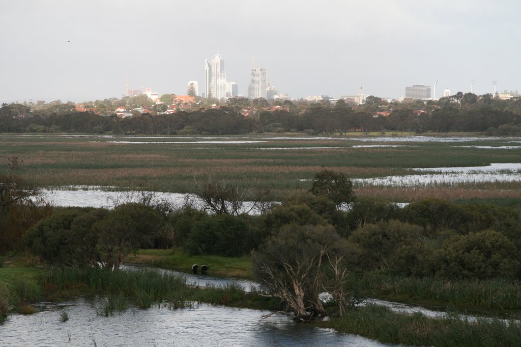 Prth from Herdsman Lake July 2010 by Gavin Forbes