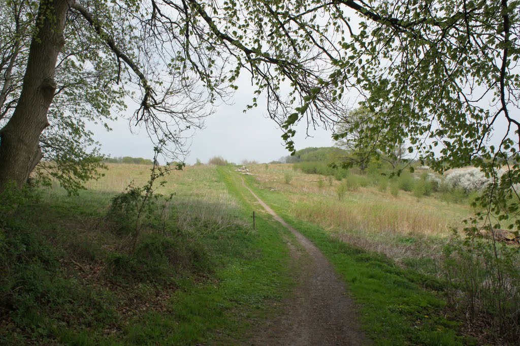 Langs Dansk-Tysk grænse, Niehuus sø, 27. april 2011 by papkassen