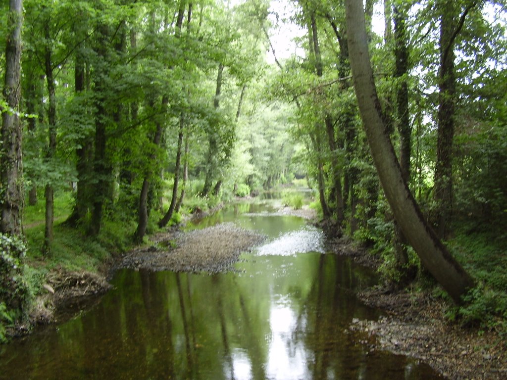 Sarria. Lugo by Dácil