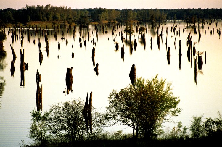 Lake Bijeaux near Henderson, La. by EtaNu261