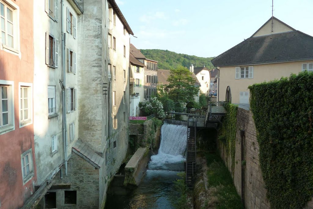 Arbois, la Cuisance by booh