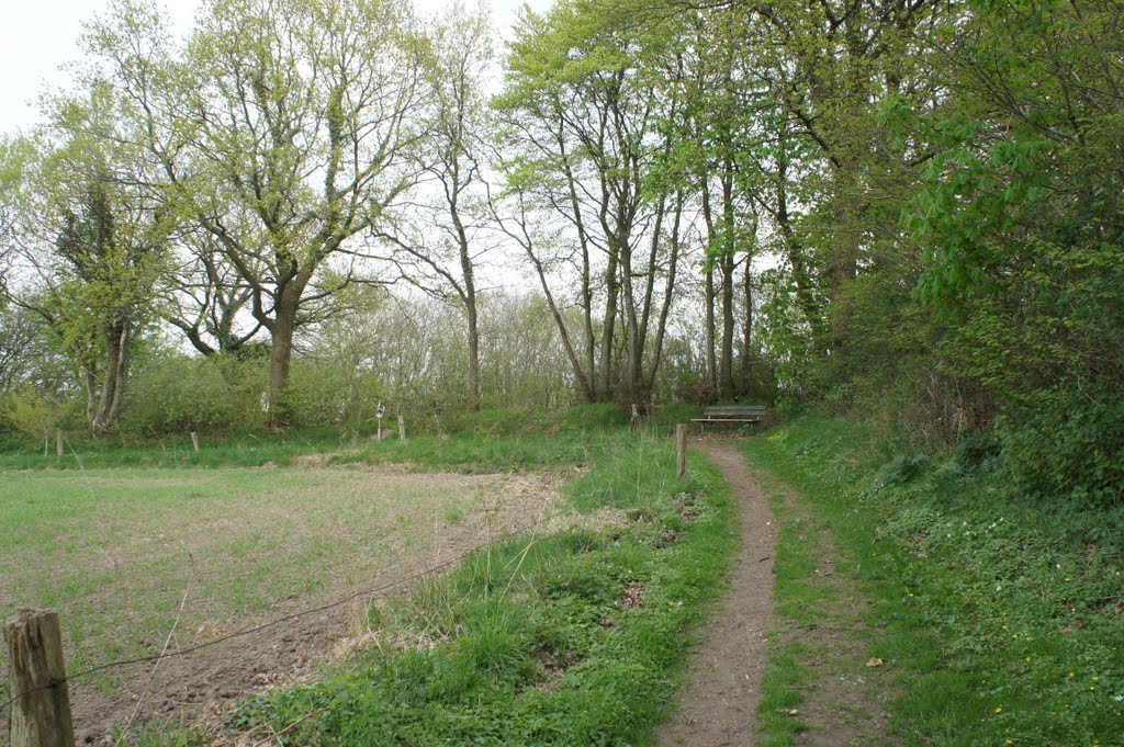 Langs Dansk-Tysk grænse, bænk og lyre, 27. april 2011 by papkassen