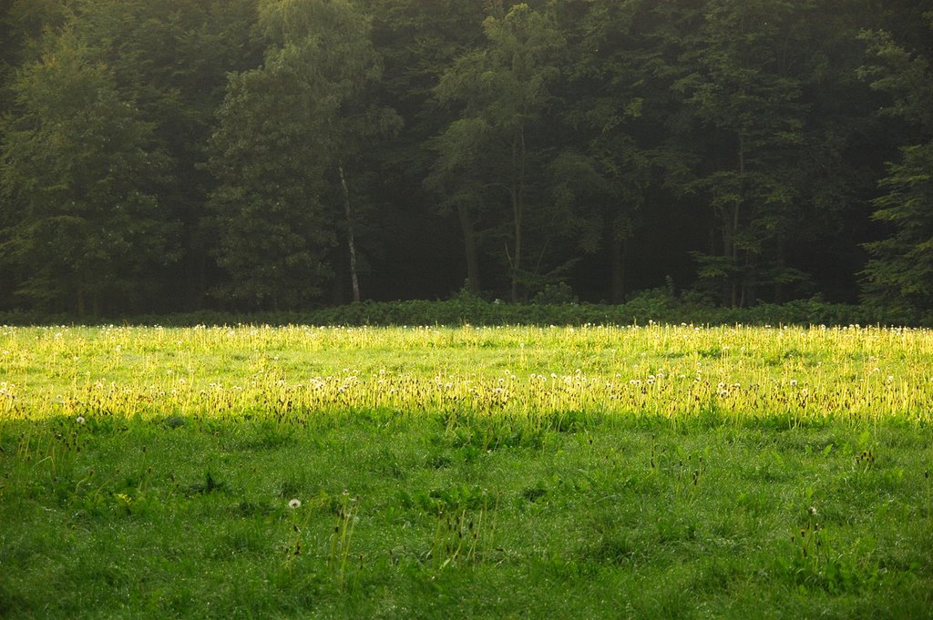 Lichtstrook op het veld 2 by Ruud van Dijk