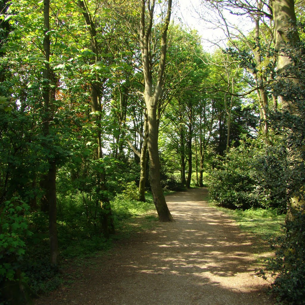 Path in Graves Park from Norton Lane, Norton, Sheffield S8 by sixxsix