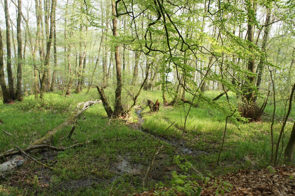 Langs Dansk-Tysk grænse, 27. april 2011 by papkassen