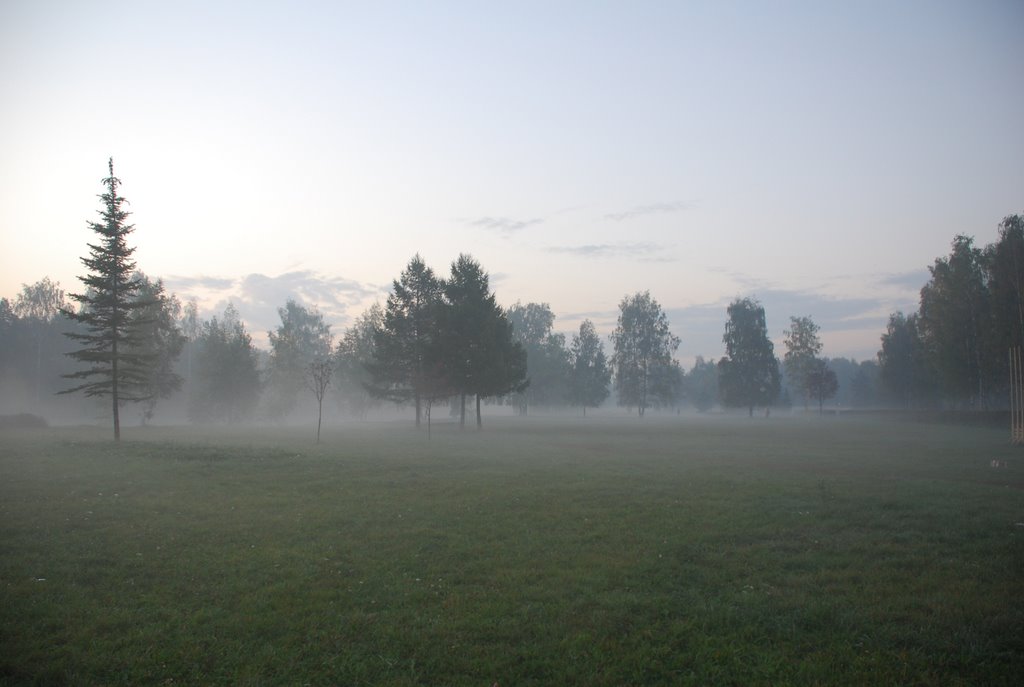 Morning fog by Dmitry Popov