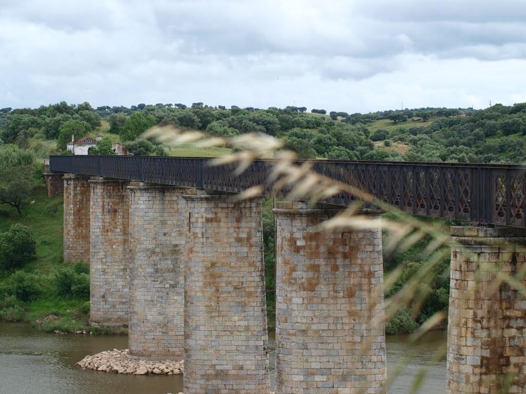 Ramal de Moura. Ponte sobre o Guadiana. by A. Miranda