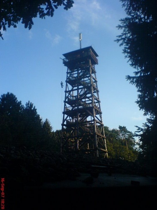 Wildpark Turm by mizzz