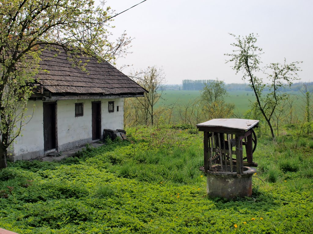 Opatowiec - old house by wuhazet