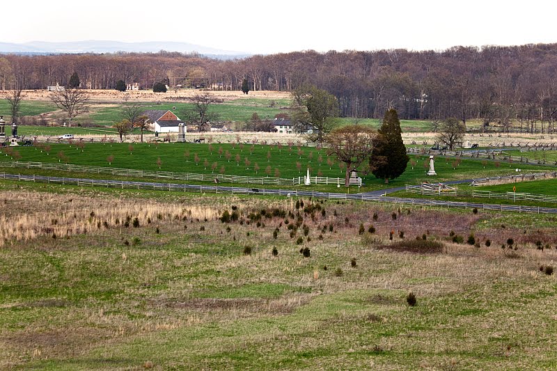 Peach Orchard by Bob Engelbart