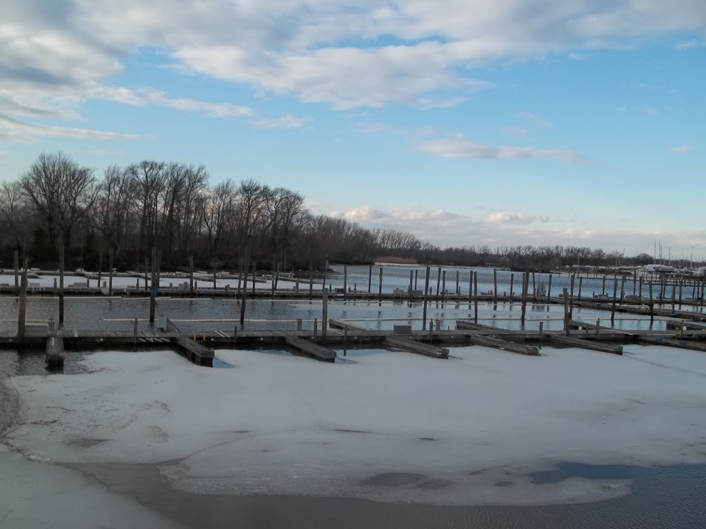 Dredge Harbor, Delran, NJ USA 14 February 2011 by Gary Miotla