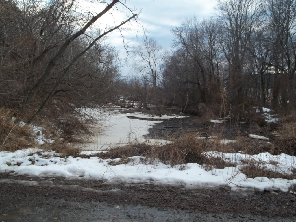 Swedes Lake, Delran NJ USA February 14th, 2011 by Gary Miotla