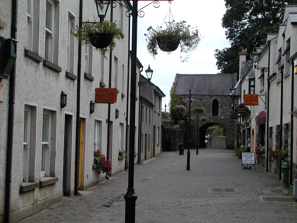 Carlingford, Ireland 2 by strathglass