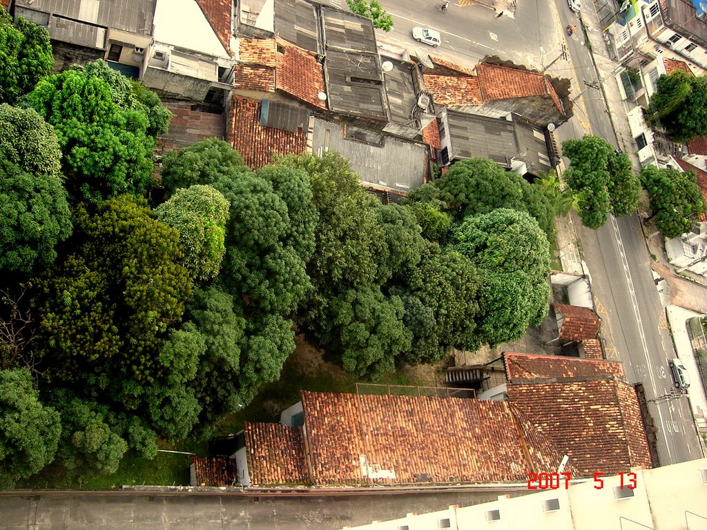 VERDE QUE TE QUERO VERDE (casa com quintal em Batista campos) by Aurelino Santos Jr