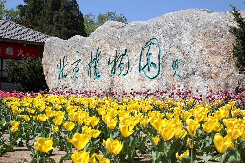 ประตูทางเข้าทิศใต้ South Gate of Beijing Botanic Garden 植物园南门 by Rachun