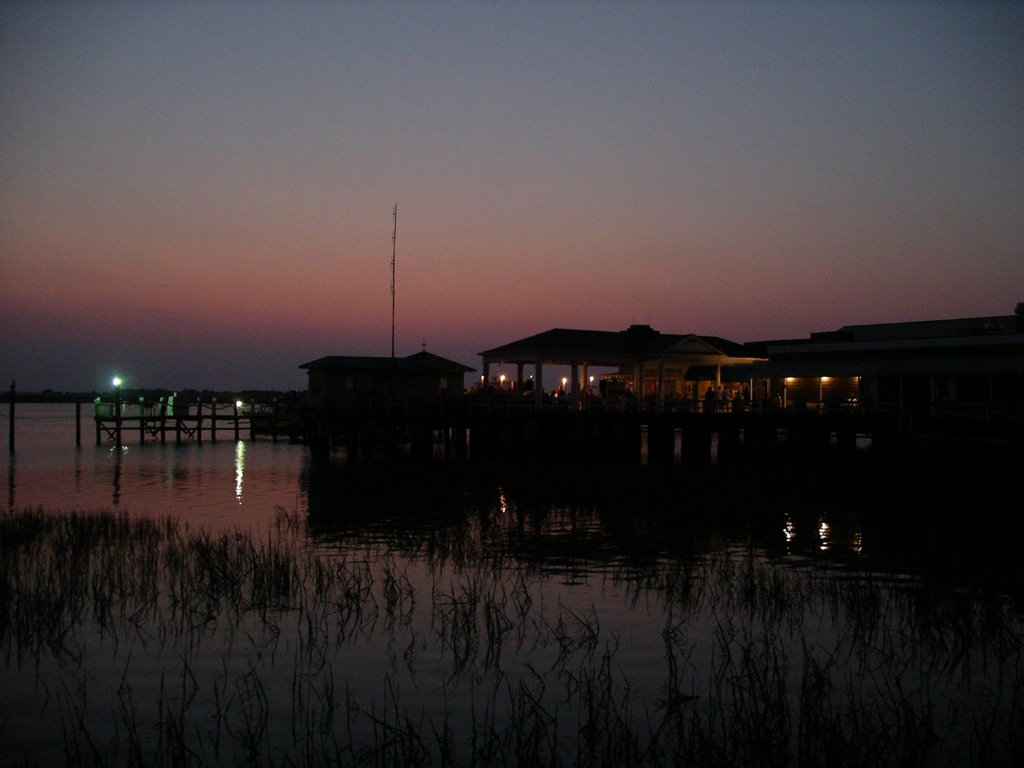 Jekyll Docks at Night by Micah Overmon