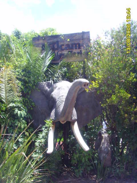 Africam Safari Entrance by IldefonsoLastra