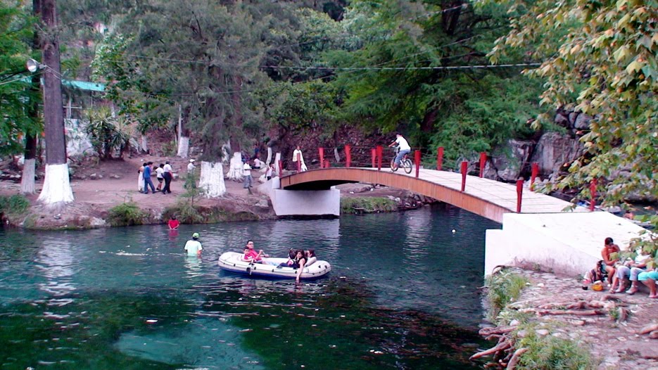 MAS PUENTES EN LAGUNA DE NOGALES, VERACRUZ MAYO 2008 by Sergio Arce G