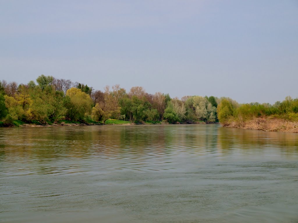 Vistula River - Opatowiec left and Ujście Jezuickie on the right, view from the ferry down the river by wuhazet