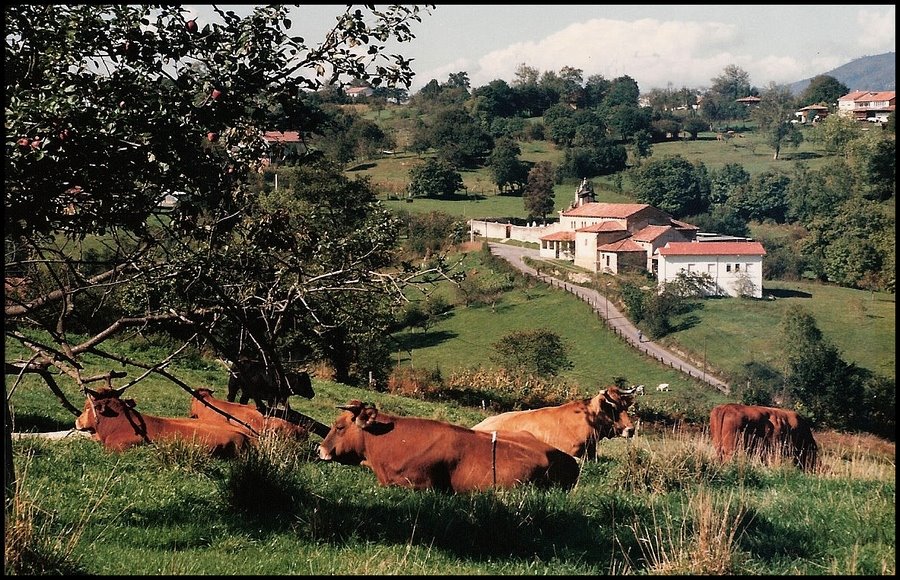 Santa María de La O de Limanes, Siero. by PAÑEDA