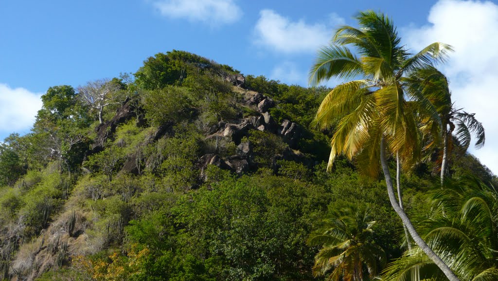 Plage du Pain de Sucre - Terre-de-Haut (Les Saintes - Guadeloupe) by Naru Kenji