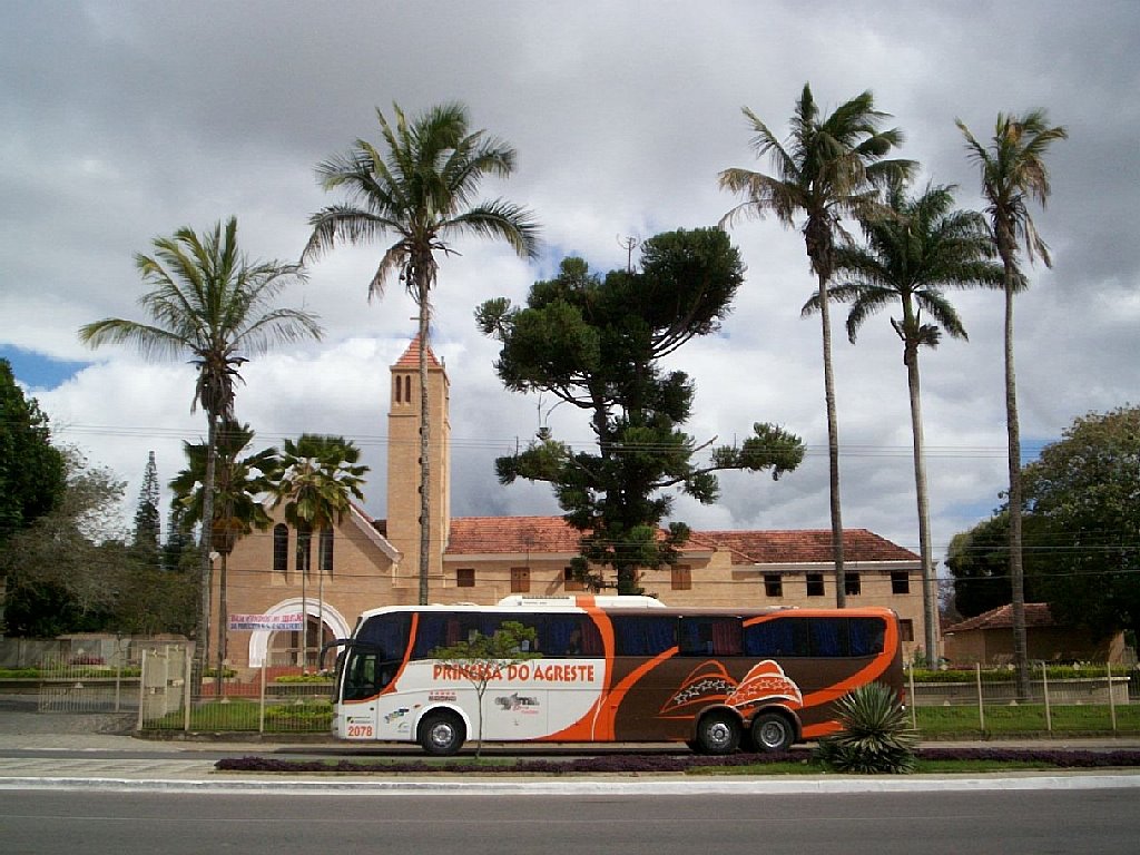 The Bus by Elio Rocha