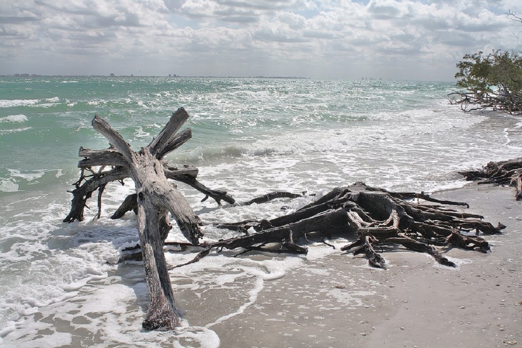 Lighthouse Beach - Sanibel Island by bronzebrick