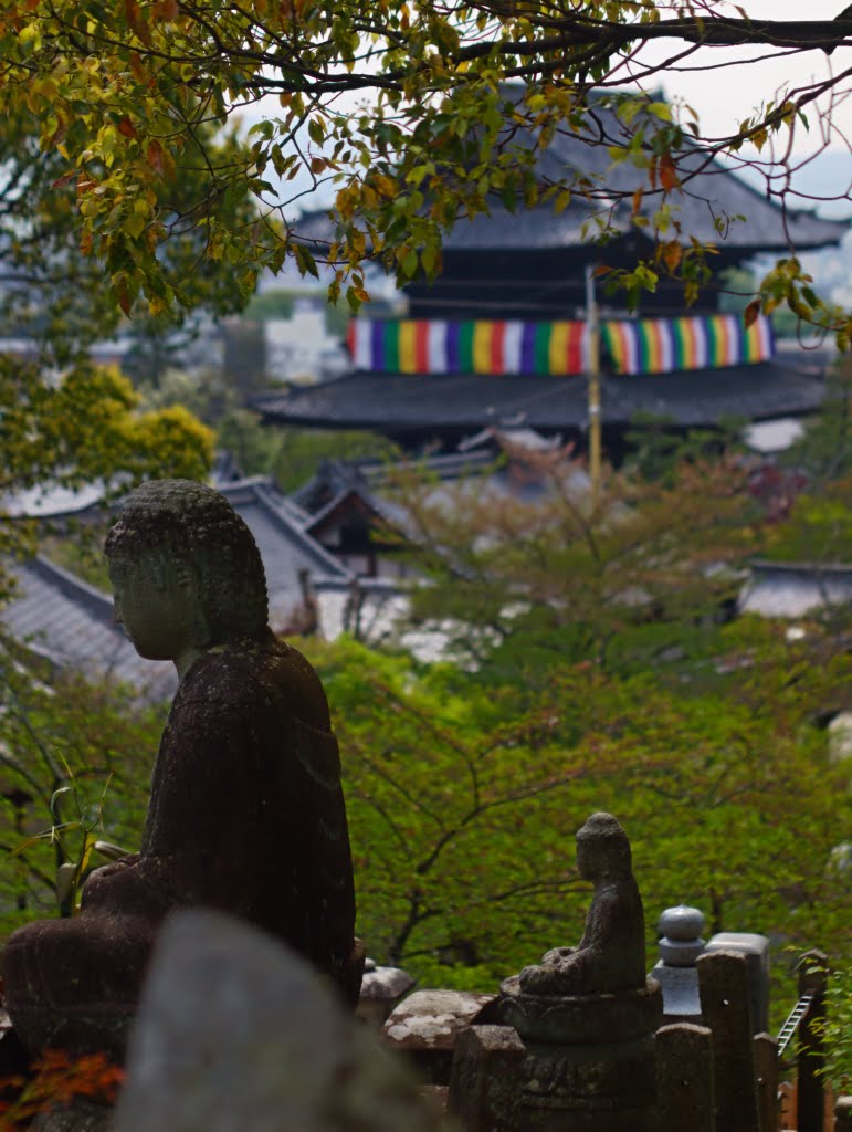 Konkai-Komyo-ji temple aka Kurotani-san by taoy (keep Panoramio)