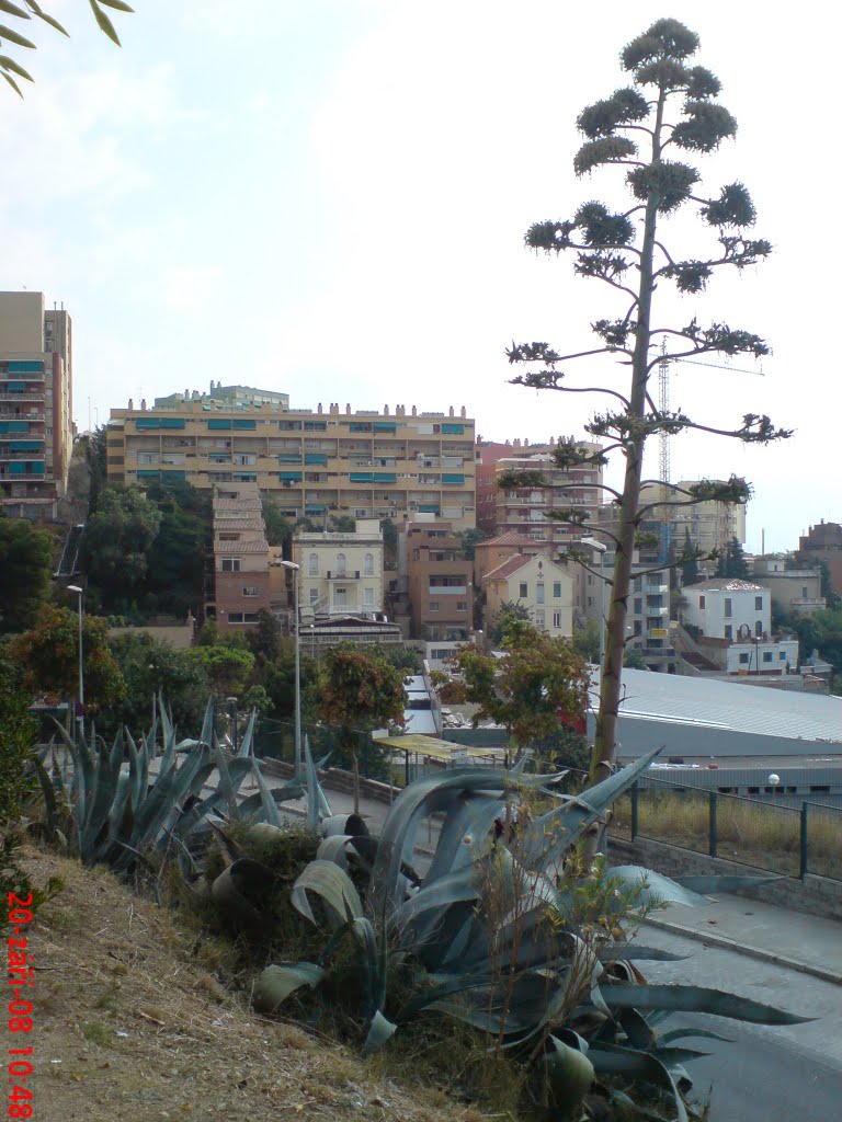 2008, Španělsko, Barcelona, park Güell, z parkoviště by Petr19, Zastávka, CZ