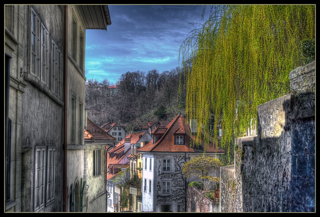 Fribourg 3 by Sandpiper 6