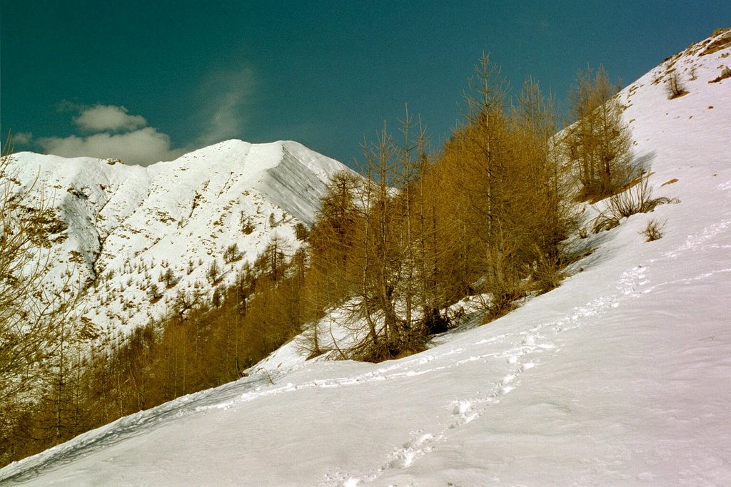 Monte Pino, verso il Passo della Maggia by Andrea Riberti