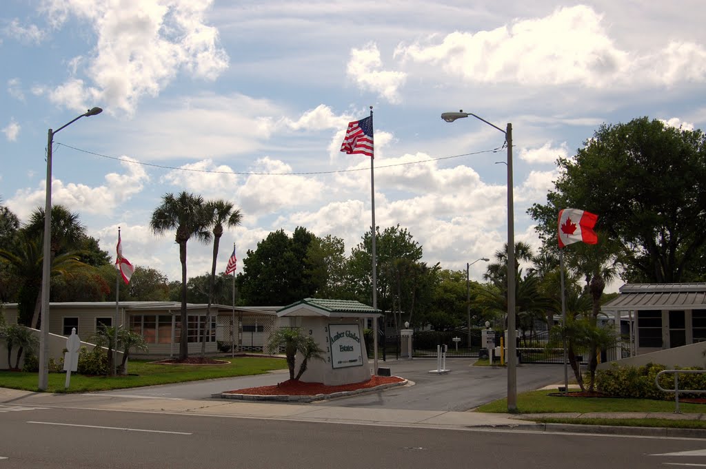 Safety Harbor,Florida.USA. by Roman Eugeniusz