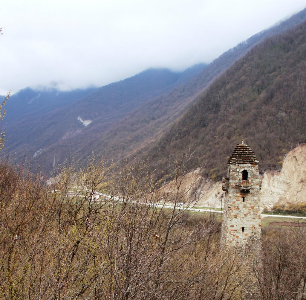 Shatoy, CHECHNYA by Dittibuh