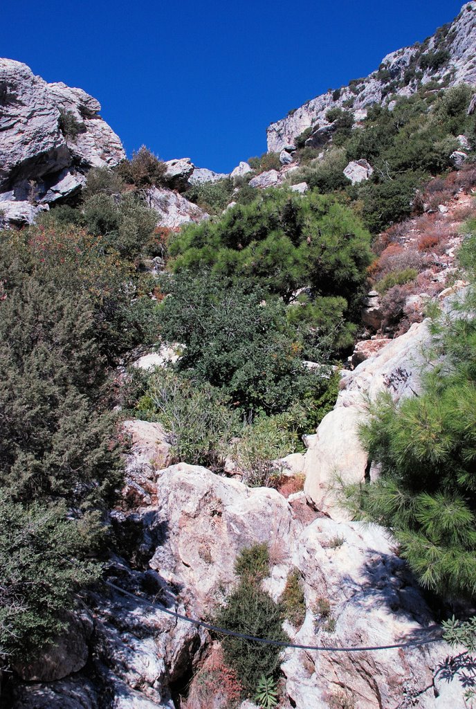 Marathokampos, Greece by Erling Als Nielsen