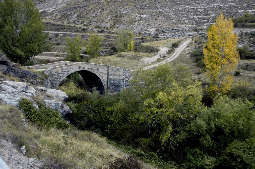 Puente de la Concepción by ebrunet