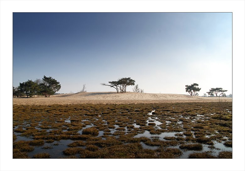 Lange Duinen by martijnlammerts