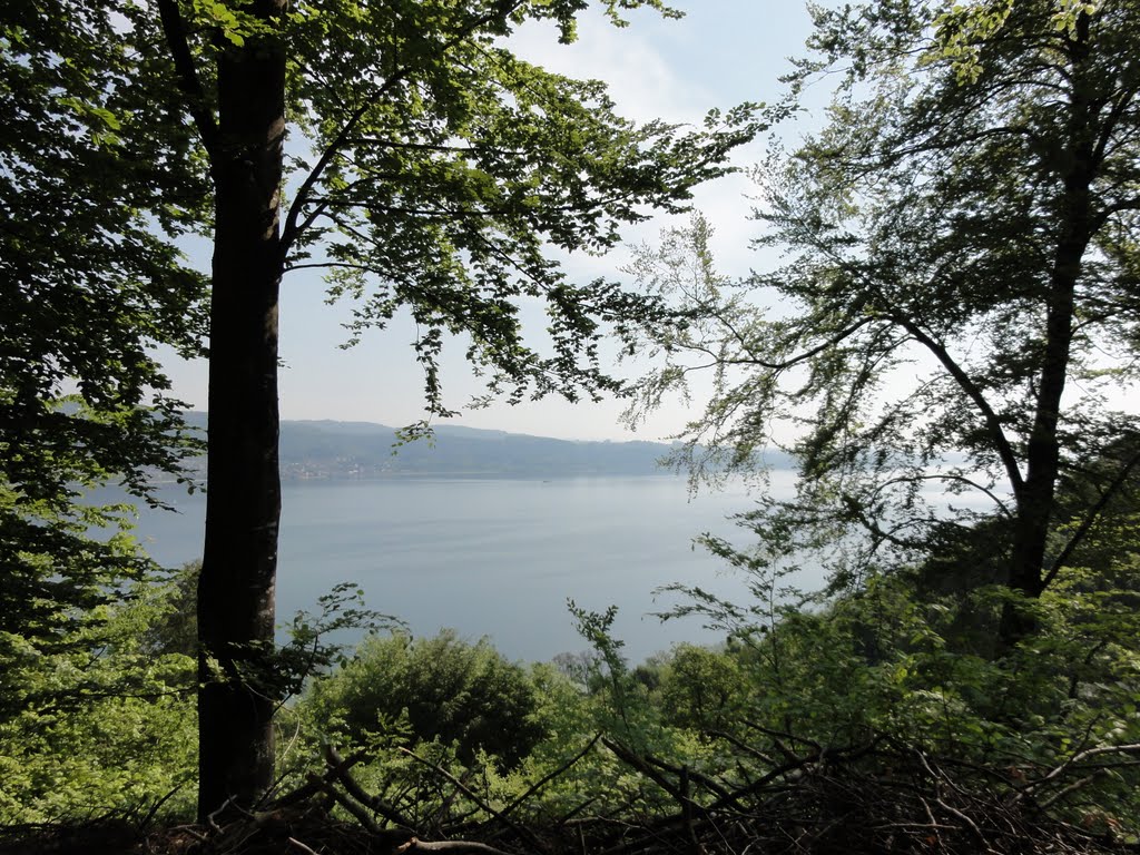 Blick auf den Bodensee by Markus24