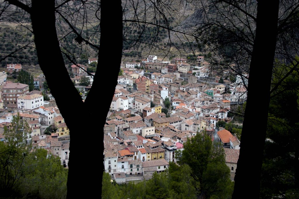 Vista desde el pinar by ebrunet