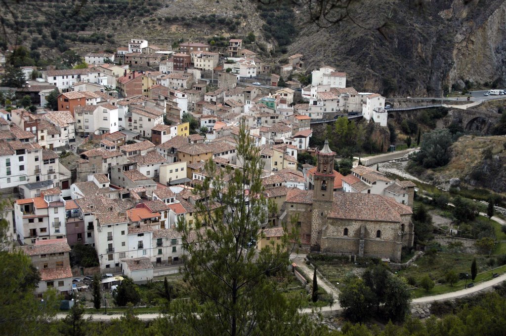 Vista desde el pinar by ebrunet