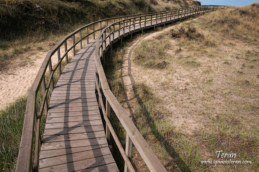 Dunas del Espartal by Jose Ignacio Teran