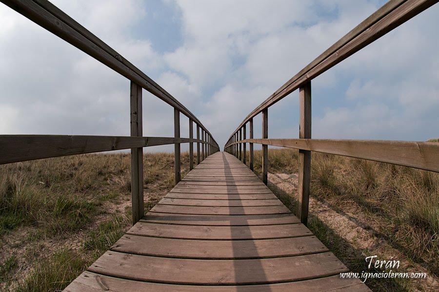 Dunas del Espartal by Jose Ignacio Teran