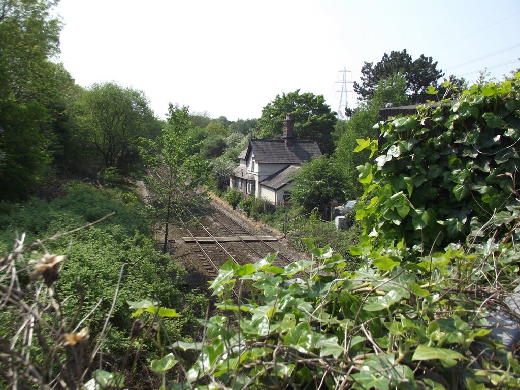 House by the railway by Joe Blundell