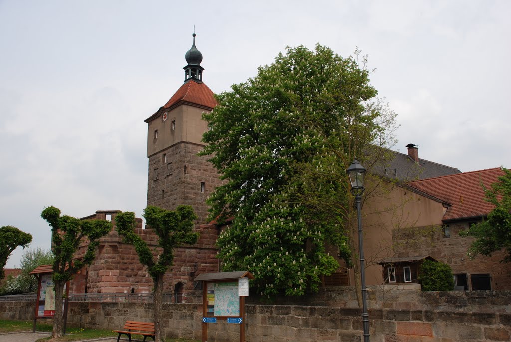 Stadtmauer by Thomas Dreßler