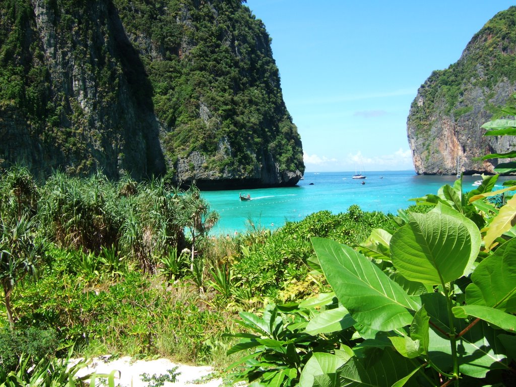 Maya Bay - Phi Phi Leh by dojomeister