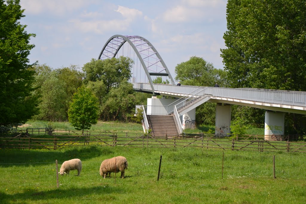 Dettingen - Bridge over the Main (taken on April 30th, 2011) by Luca Terracciano