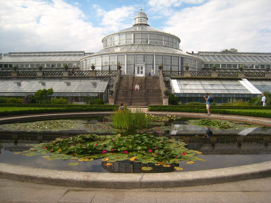 The greenhouse by CarmelH