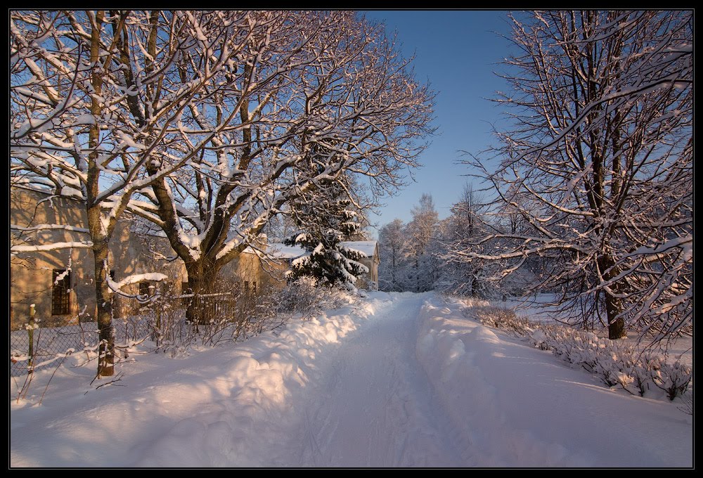 Солнечный зимний день. Февраль 2011 by Synoptic