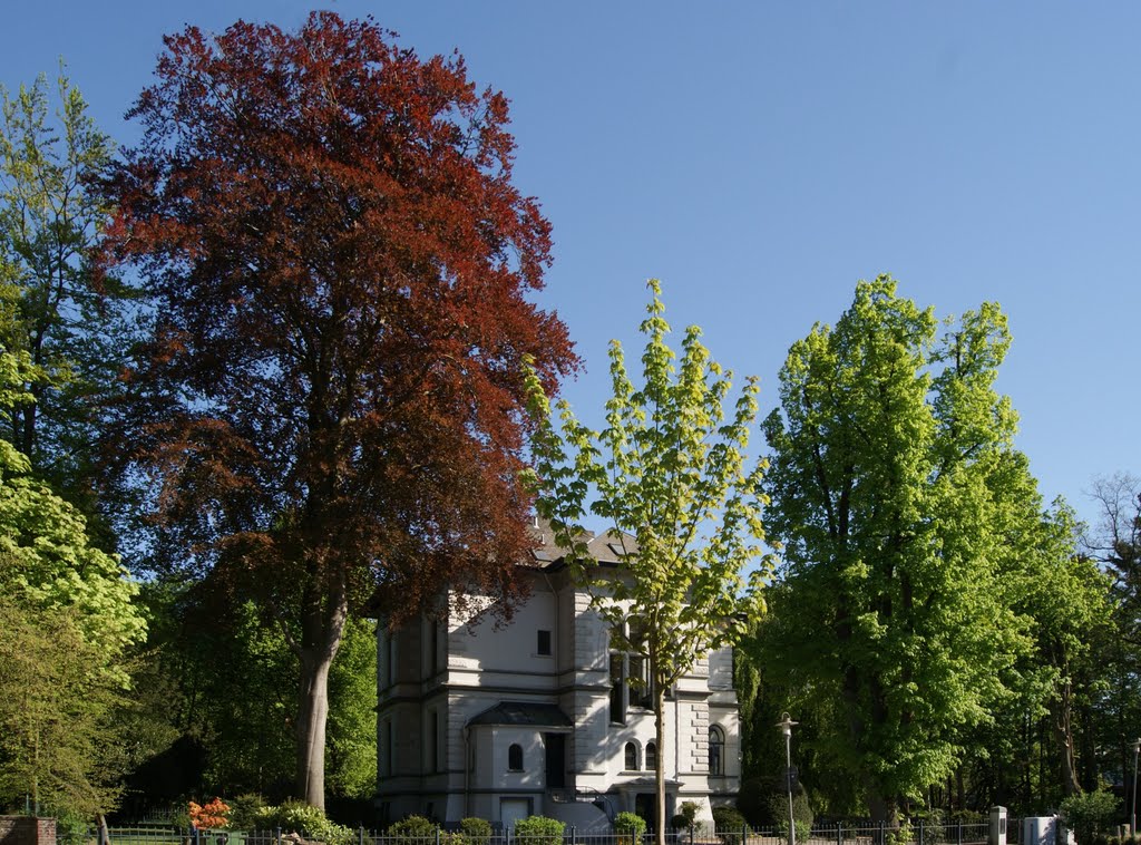 Alte Villa in der Gartenallee by hajogr